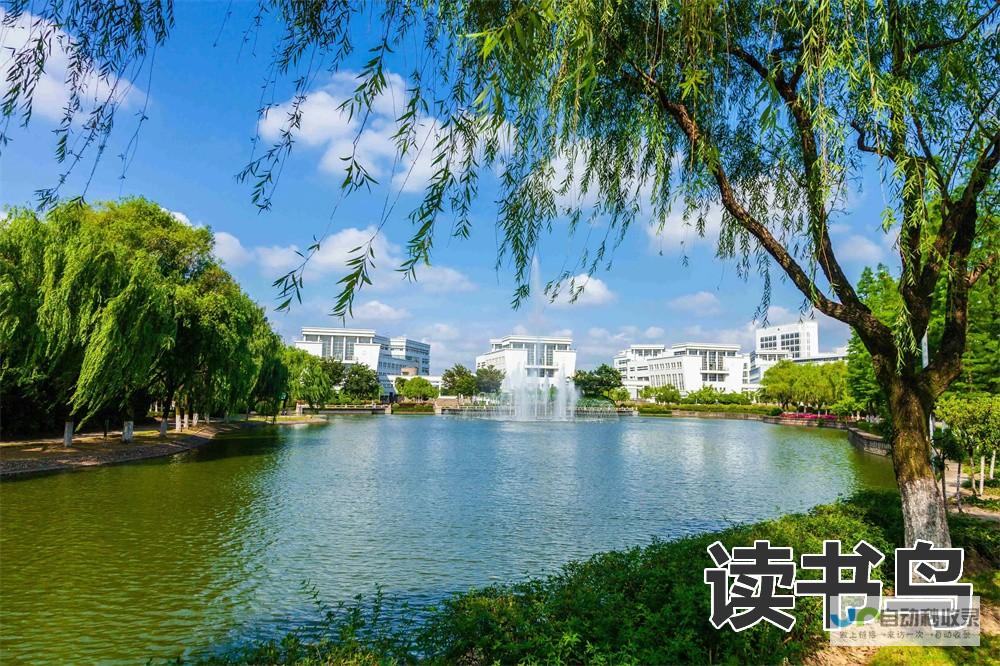 长沙专业网站开发：从设计到上线，一站式服务，助力您的企业成功上网